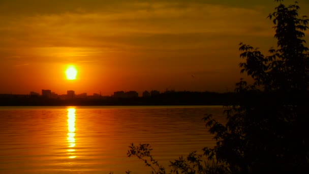 Восход на озере, восход солнца над рекой — стоковое видео