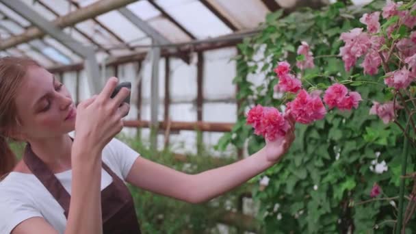 Una jovencita. invernadero trabajador con flores, toma fotos para el sitio o productos de blog — Vídeo de stock