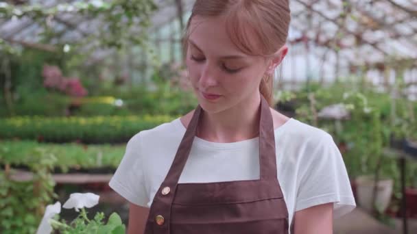 Молода дівчина в фартусі працює в теплиці і пересаджує однорічні рослини і квіти — стокове відео