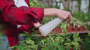 Gözlüklü kız bitkilere su sıçratıyor ya da püskürtüyor.