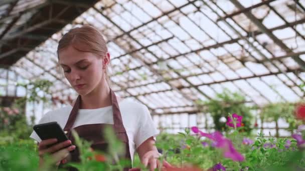 Una jovencita. invernadero trabajador con flores, toma fotos para el sitio o productos de blog — Vídeo de stock