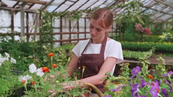 Mädchen in Schürze bei der Arbeit in einem Gewächshaus verpflanzt Blumen, Zeitlupe Video — Stockvideo