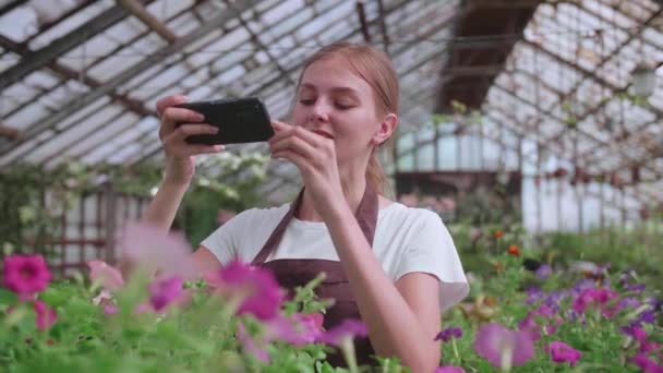 Una ragazzina. serra lavoratore con fiori, scatta foto per il sito o blog prodotti — Video Stock