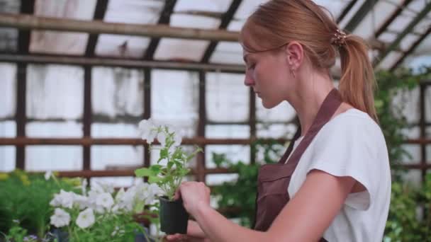 Fille dans un tablier au travail dans une serre transplante des fleurs, au ralenti Vidéo — Video