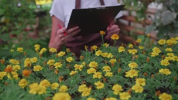 De vrouwelijke inspecteur in het schort controleert en telt de bloemen in de kas, houdt hun administratie bij. — Stockvideo