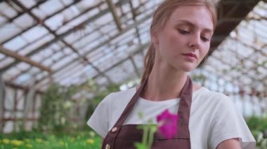 Genç bir kız. Çiçekli işçi serası, site veya blog ürünleri için fotoğraf çekiyor