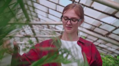 Gözlüklü kız bitkilere su sıçratıyor ya da püskürtüyor.