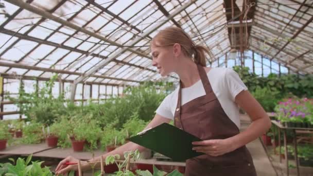 La donna lavora in serra e verifica la presenza dei fiori giusti nell'elenco dei clienti — Video Stock