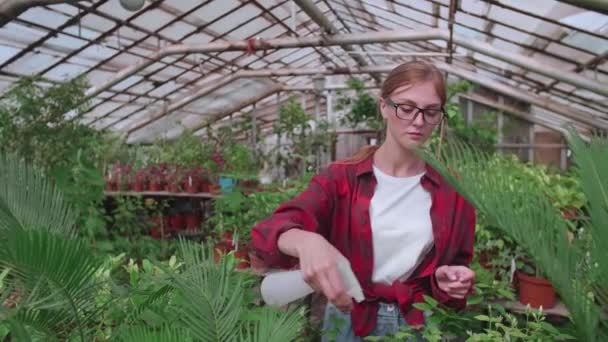 Девушка в очках распыляет растения из брызг или спрея — стоковое видео