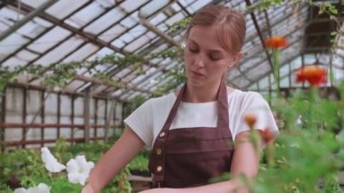İş yerinde önlüklü bir kız çiçek nakli yapıyor, yavaş çekim videosu var.