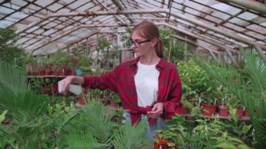 Gözlüklü kız bitkilere su sıçratıyor ya da püskürtüyor.