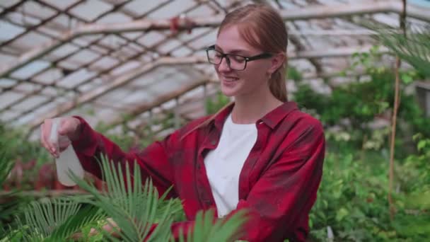 Девушка в очках распыляет растения из брызг или спрея — стоковое видео