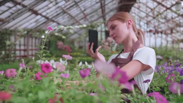 Una ragazzina. serra lavoratore con fiori, scatta foto per il sito o blog prodotti — Video Stock