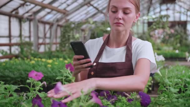 Młoda dziewczyna. szklarnia pracowników z kwiatami, robi zdjęcia na miejscu lub blogu produktów — Wideo stockowe