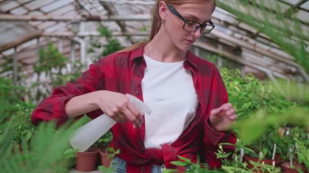 Menina com óculos pulveriza plantas de um respingo ou spray — Vídeo de Stock