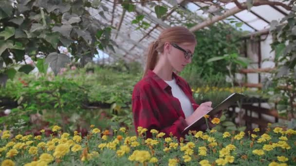 Gözlüklü ve kareli kırmızı gömlekli tarımcı kız seradaki bitkilerin kalitesini ve miktarını kontrol ediyor. — Stok video