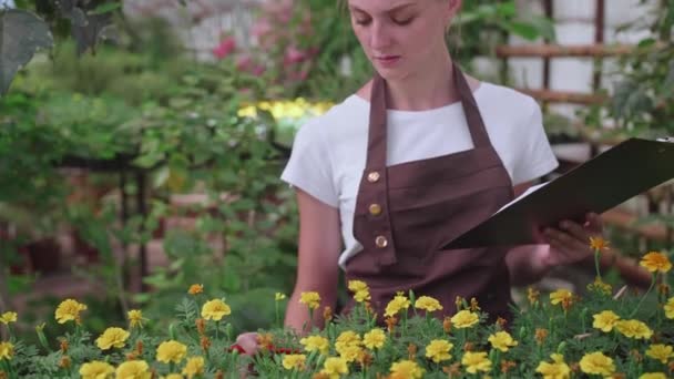 Девушка-инспектор в фартуке проверяет и считает цветы в оранжерее, хранит их записи — стоковое видео