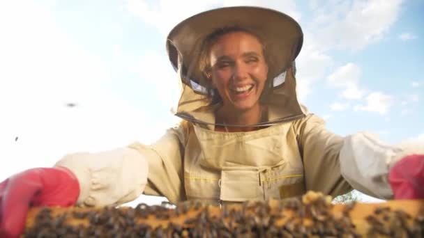 Μια μελισσοκόμος με προστατευτική στολή κουβαλάει ένα σκελετό με μέλι από κυψέλη μελισσών. — Αρχείο Βίντεο