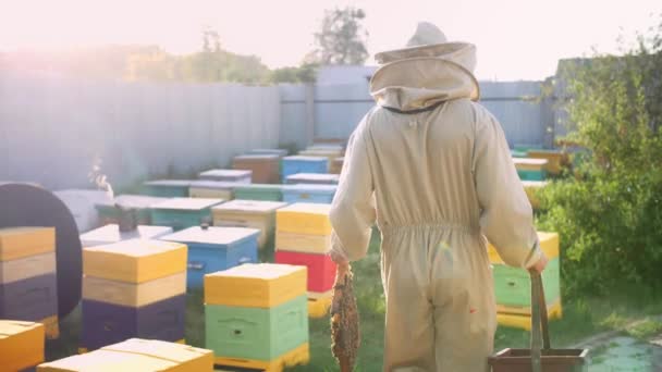 El apicultor camina sobre su colmenar de abejas — Vídeo de stock