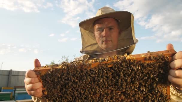 Μελισσοκόμος φαίνεται πλαισιωμένο από μια κυψέλη μελισσών για μέλι — Αρχείο Βίντεο