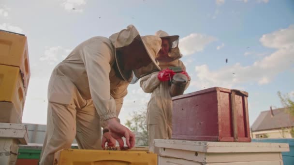 Ein Imkerpaar holt den Rahmen mit Honig aus einem Bienenstock — Stockvideo