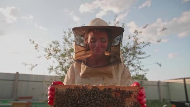 Uma menina apicultora em um terno protetor carrega uma moldura com mel de uma colmeia de abelhas — Vídeo de Stock