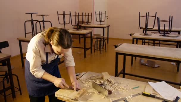 Trabajo maestro carpintero con madera — Vídeo de stock