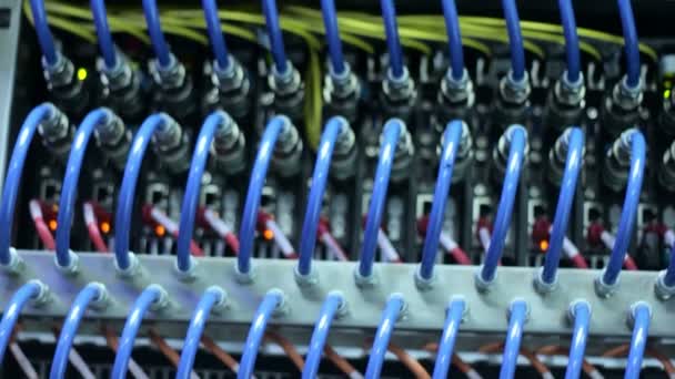 Wires, lightbulbs and computer parts in render farm — Stock Video