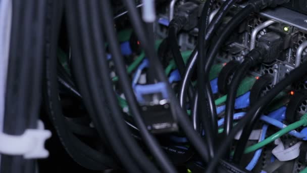 Wires, lightbulbs and computer parts in render farm — Stock Video