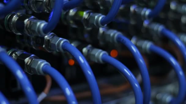 Wires, gloeilampen en computer onderdelen in render farm — Stockvideo