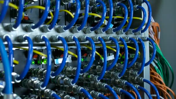 Wires, lightbulbs and computer parts in render farm — Stock Video