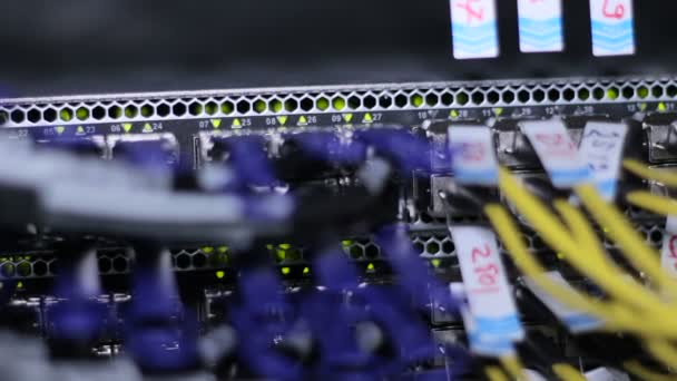 Wires, gloeilampen en computer onderdelen in render farm — Stockvideo