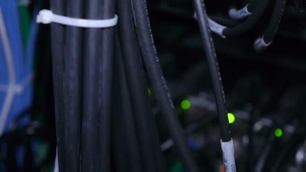 Wires, gloeilampen en computer onderdelen in render farm — Stockvideo