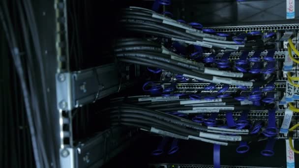 Teller, render farm kesimine ve bilgisayar parçaları — Stok video