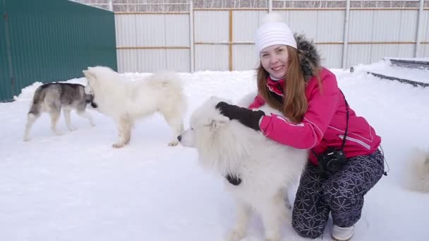 Молодая девушка играет с белой собакой — стоковое видео