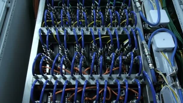 Real Render Farm e servidor de banco de dados — Vídeo de Stock