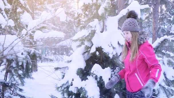 Jeunes femmes jouant avec le sapin dans la neige — Video