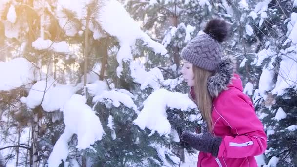 年轻妇女们玩枞树在雪中 — 图库视频影像