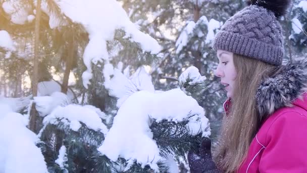 Mujeres jóvenes jugando con abeto en la nieve — Vídeos de Stock