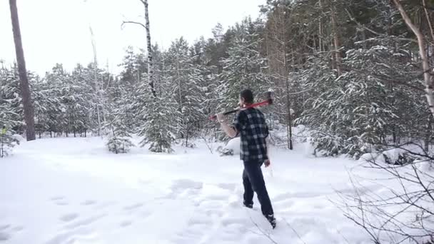 Drwal z jego siekierą powraca z pracy zimowego lasu — Wideo stockowe