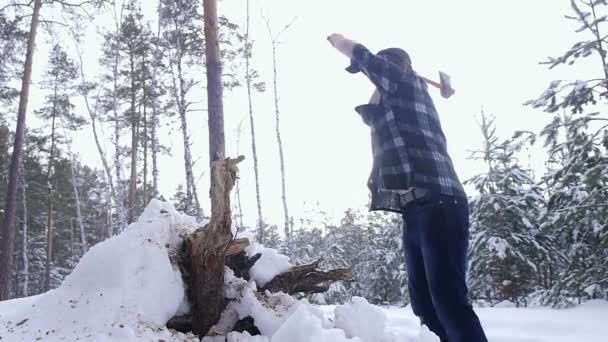 Лесоруб рубит топор, чтобы рубить дрова в зимнем лесу — стоковое видео