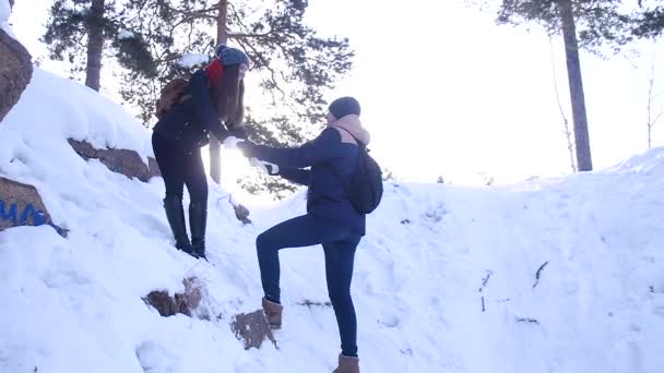 Νέους και όμορφη ζευγάρι στην αγάπη περπάτημα στο δάσος χειμώνα — Αρχείο Βίντεο