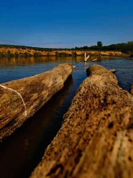 Jour Été Soleil Asséchait Une Petite Rivière Révélant Les Trésors — Photo