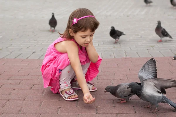 Küçük kız güvercinler tarafından tahıl meydanda beslemeleri. — Stok fotoğraf