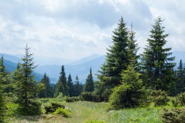 Manzara Karpat Dağları