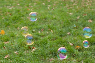 Çimenlerin üzerinde düşen baloncuklar