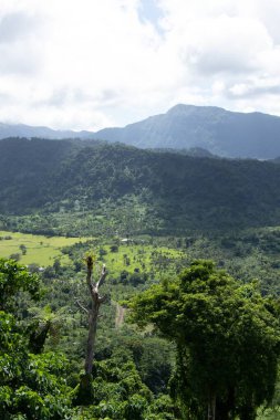 Samoa 'daki dağ manzarası