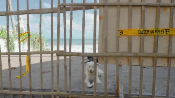 Cuarentena, una playa vacía y una cerca de bambú con cintas amarillas de la policía — Vídeos de Stock