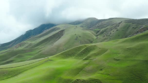 Ett flyglandskap med gröna berg där små svarta djur betar mot bakgrunden av en mulen himmel. Ett idylliskt landskap med gröna kullar skjutna på en helikopter i division. — Stockvideo