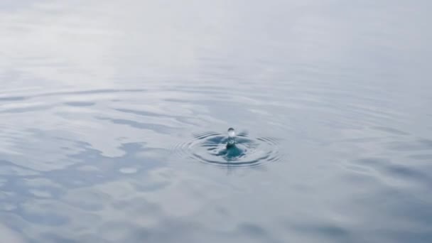 Una meravigliosa goccia astratta di acqua cade su una superficie liquida con onde luminose e crea una grande bella spruzzata d'acqua, dal centro dei cerchi d'onda si muovono. Primo piano al rallentatore. — Video Stock